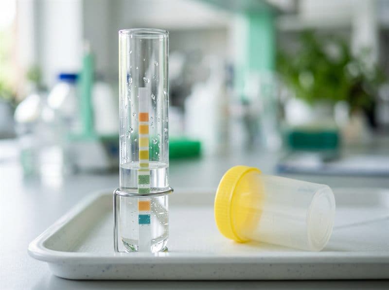 Muestra de agua para detectar contaminantes químicos en Silleda